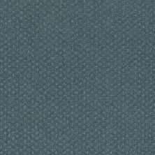 Shaw Floors Foundations Infallible Instinct Net Voyage 00480_E9774