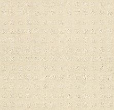 Shaw Floors Foundations Alluring Disposition Net Treasure 00181_E9777