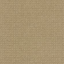 Shaw Floors Foundations Alluring Disposition Net Safari 00188_E9777