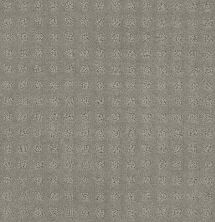 Shaw Floors Foundations Alluring Disposition Net Slate 00570_E9777