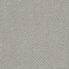 Shaw Floors Foundations Smart Thinking Net Grey Stone 00562_E9778