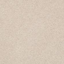 Shaw Floors Pet Perfect Plus Basic Rules Net Blush 00104_E9782