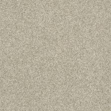 Shaw Floors Pet Perfect Plus Just A Hint II Net Eggshell 00102_E9784