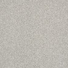 Shaw Floors Pet Perfect Plus Just A Hint II Net Dew 00106_E9784