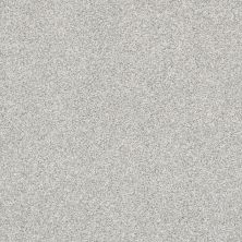 Shaw Floors Pet Perfect Plus Just A Hint II Net Mist 00107_E9784