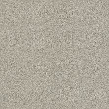 Shaw Floors Pet Perfect Plus Just A Hint II Net Flax 00502_E9784