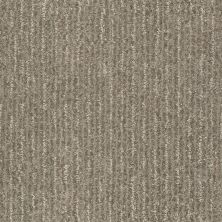 Shaw Floors Pet Perfect Plus Outside The Lines Net Flax 00502_E9789