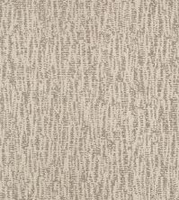 Shaw Floors Pet Perfect Plus Obvious Choice Net Linen 00110_E9791