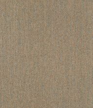 Shaw Floors Pet Perfect Plus Obvious Choice Net Gold Rush 00200_E9791