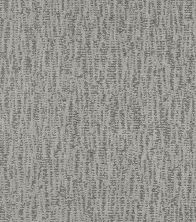 Shaw Floors Pet Perfect Plus Obvious Choice Net Aquamarine 00400_E9791
