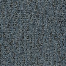 Shaw Floors Pet Perfect Plus Obvious Choice Net Slate 00401_E9791
