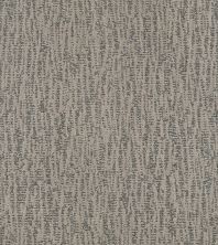 Shaw Floors Pet Perfect Plus Obvious Choice Net Sterling 00501_E9791