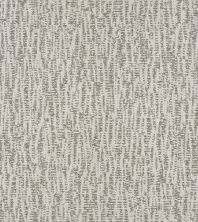 Shaw Floors Pet Perfect Plus Obvious Choice Net Nickel 00510_E9791