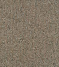 Shaw Floors Pet Perfect Plus Obvious Choice Net Bronze 00602_E9791