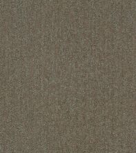 Shaw Floors Pet Perfect Plus Obvious Choice Net Mahogany 00702_E9791