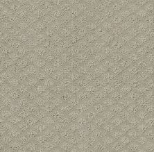 Shaw Floors Foundations Entwined With You Net Silhouette 00570_E9809