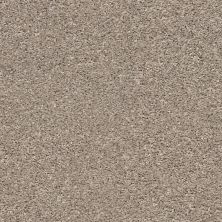Shaw Floors Value Collections Shake It Up Solid Net Forever Pewter 00710_E9857