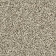 Shaw Floors Value Collections Shake It Up Tonal Net Stucco 00112_E9859