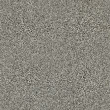 Shaw Floors Value Collections Shake It Up Tonal Net Dolphin 00520_E9859