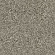 Shaw Floors Value Collections Shake It Up Tonal Net Barely There 00720_E9859