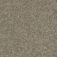 Shaw Floors Breathless Park Trail