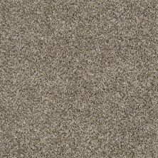 Shaw Floors Breathless Champion