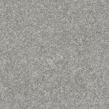 Shaw Floors Simply The Best All Over It I Net Stone Path 00503_E9890