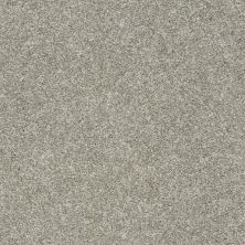 Shaw Floors Value Collections All Over It II Net London Fog 00501_E9891