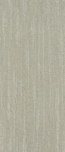 Shaw Floors Value Collections All The Way Net Classic Taupe 00105_E9892