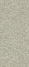 Shaw Floors Value Collections All In One Net Classic Taupe 00105_E9893