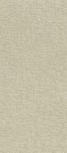 Shaw Floors Value Collections All In One Net Almond 00106_E9893