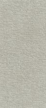 Shaw Floors Simply The Best All In One Net Pavement 00501_E9893