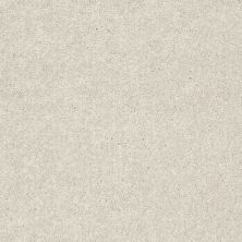 Shaw Floors Value Collections Nantucket Summer 12′ Taupe 55105_E9903