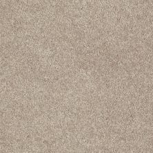 Shaw Floors Value Collections Nantucket Summer 12′ Plaster 55752_E9903