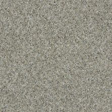 Shaw Floors Value Collections Orchard Picking Aqua Sky 00500_E9904
