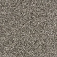 Shaw Floors Value Collections Orchard Picking Goose Feather 00501_E9904