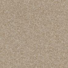 Shaw Floors Value Collections Stay The Course 12′ Sand Castle 00101_E9905
