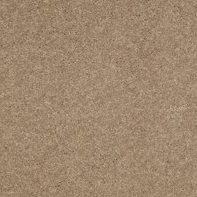 Shaw Floors Value Collections Main Stay 12′ Honeycomb 00200_E9906