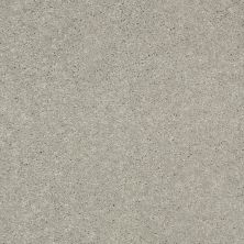 Shaw Floors Value Collections Main Stay 12′ Dove Tail 00501_E9906