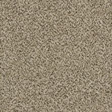 Shaw Floors Value Collections Accents For Sure 12′ Ivory Coast 00101_E9908