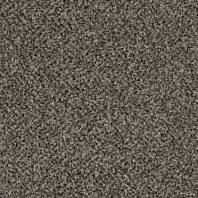Shaw Floors Value Collections Accents For Sure 12′ Timber Wolf 00104_E9908