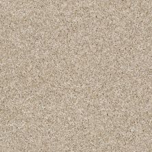 Shaw Floors Value Collections Go All Out Creamy Silk 00100_E9909