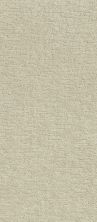 Shaw Floors Value Collections Dunkin’ Almond 00106_E9911