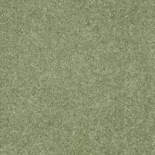 Shaw Floors Value Collections Nantucket Summer 15′ Going Green 00330_E9919