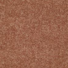 Shaw Floors Value Collections Nantucket Summer 15′ Sunburst 00630_E9919