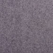 Shaw Floors Value Collections Nantucket Summer 15′ Violet Crush 00930_E9919
