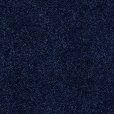 Shaw Floors Value Collections Nantucket Summer 15′ Darkest Denim 55402_E9919
