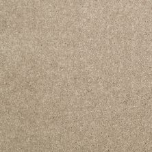 Shaw Floors Value Collections Nantucket Summer 15′ Dusty Trail 55793_E9919