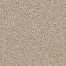 Shaw Floors Value Collections Stay The Course 15′ Linen 00100_E9920