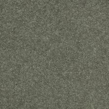 Shaw Floors Value Collections Main Stay 15′ Spring Leaf 00300_E9921